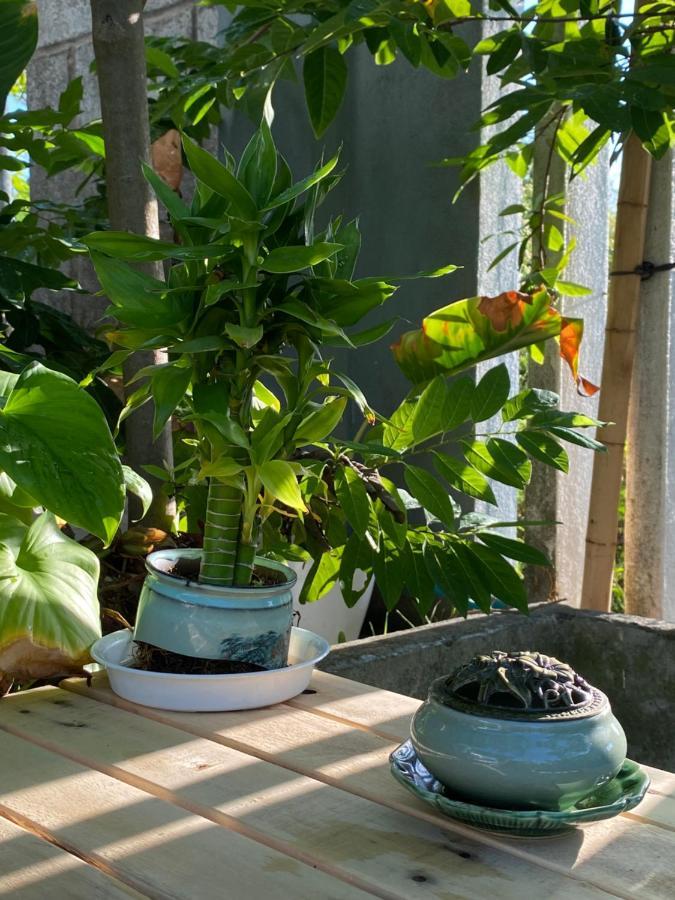 Laoxao Homestay ฮอยอัน ภายนอก รูปภาพ