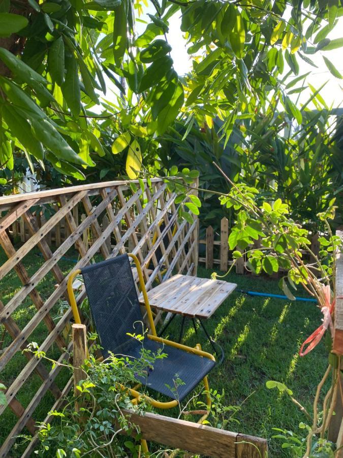 Laoxao Homestay ฮอยอัน ภายนอก รูปภาพ