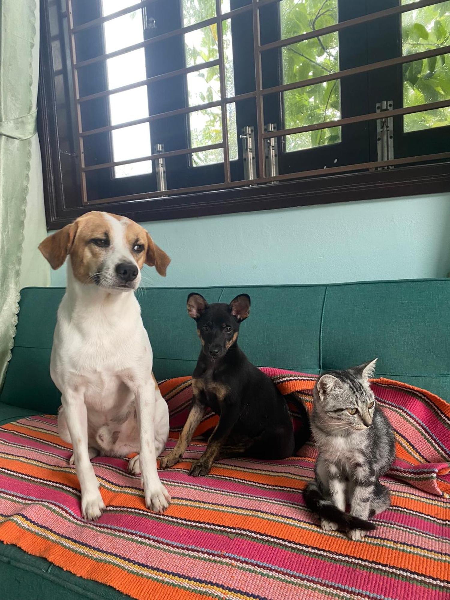Laoxao Homestay ฮอยอัน ภายนอก รูปภาพ