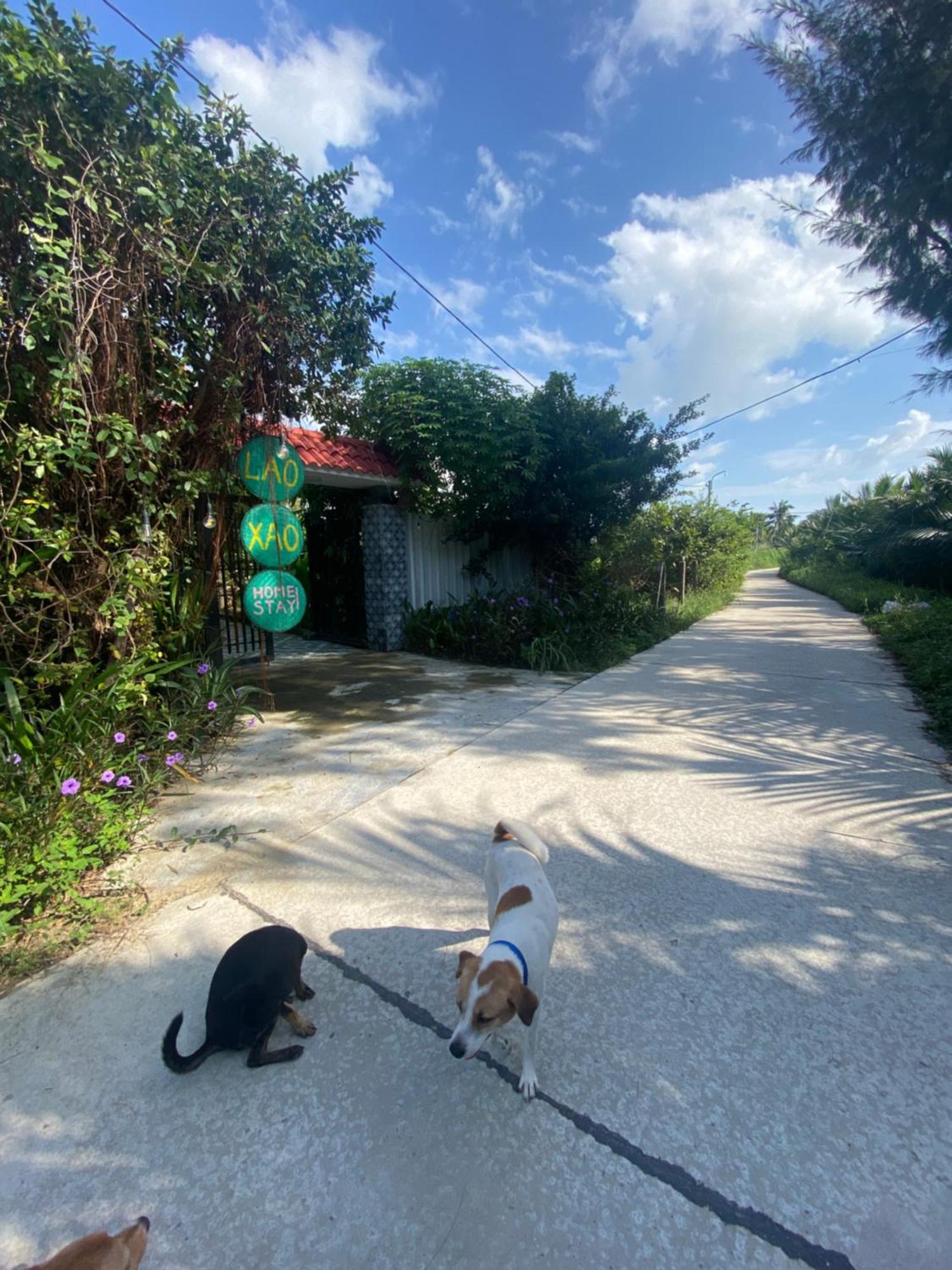 Laoxao Homestay ฮอยอัน ภายนอก รูปภาพ